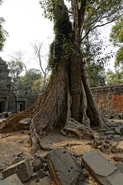 Ta Phrom et environs-075